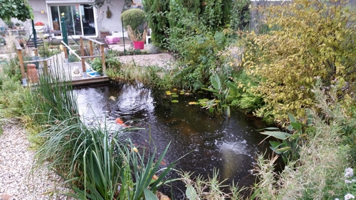 Exemple bassin naturel