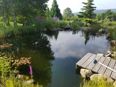 Réaliser bassin naturel