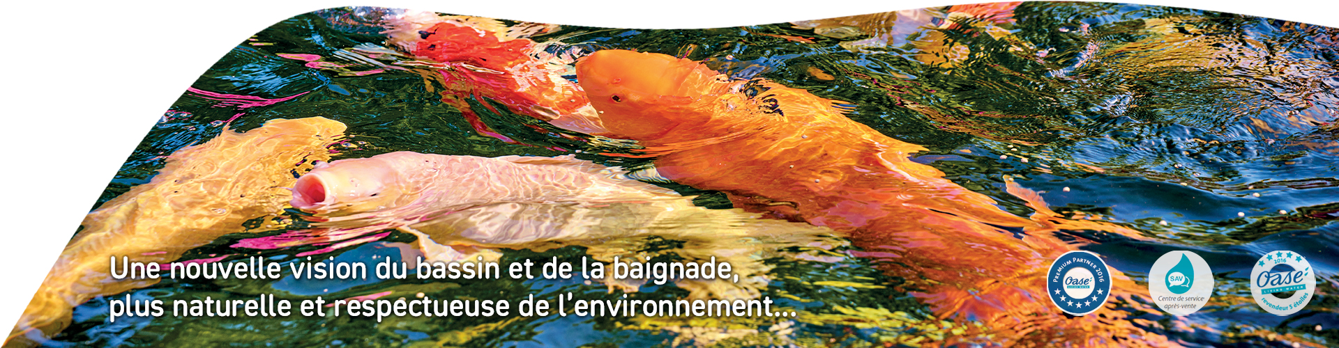 Slider poisson bassin